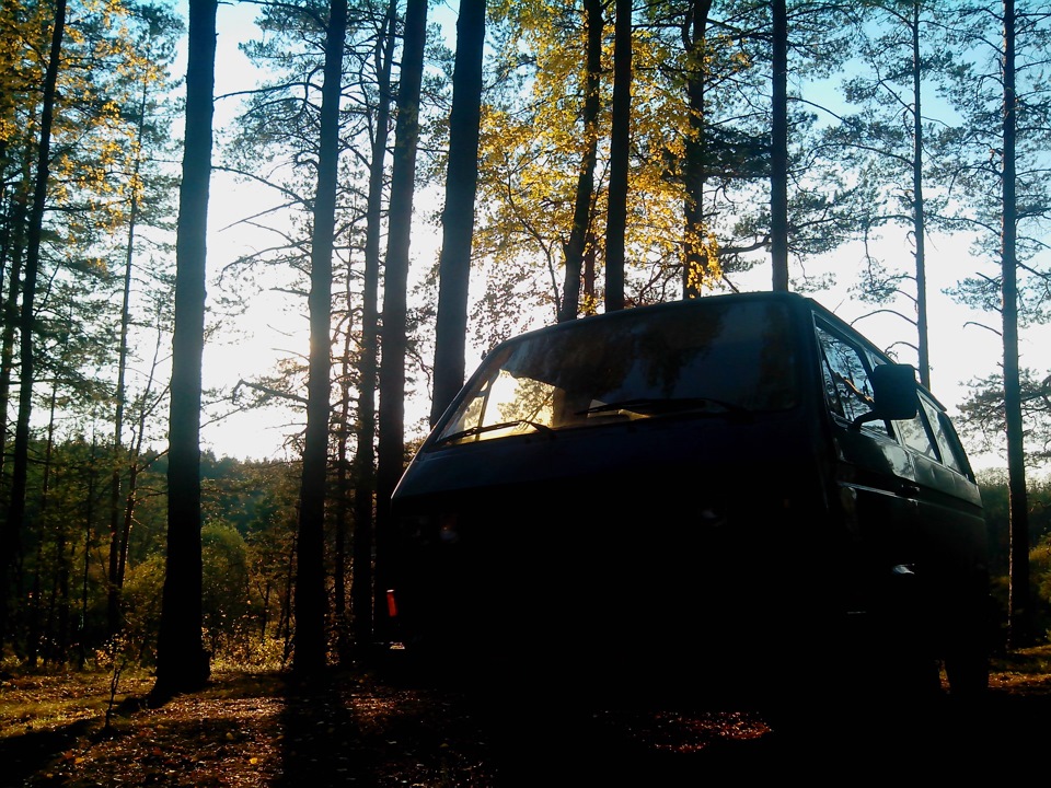 Поехали в лес. Volkswagen в лесу. Нашли в лесу Фольксваген пятиместный. Black Volkswagen in Forest. Нашел в лесу Фольксваген канет кия.