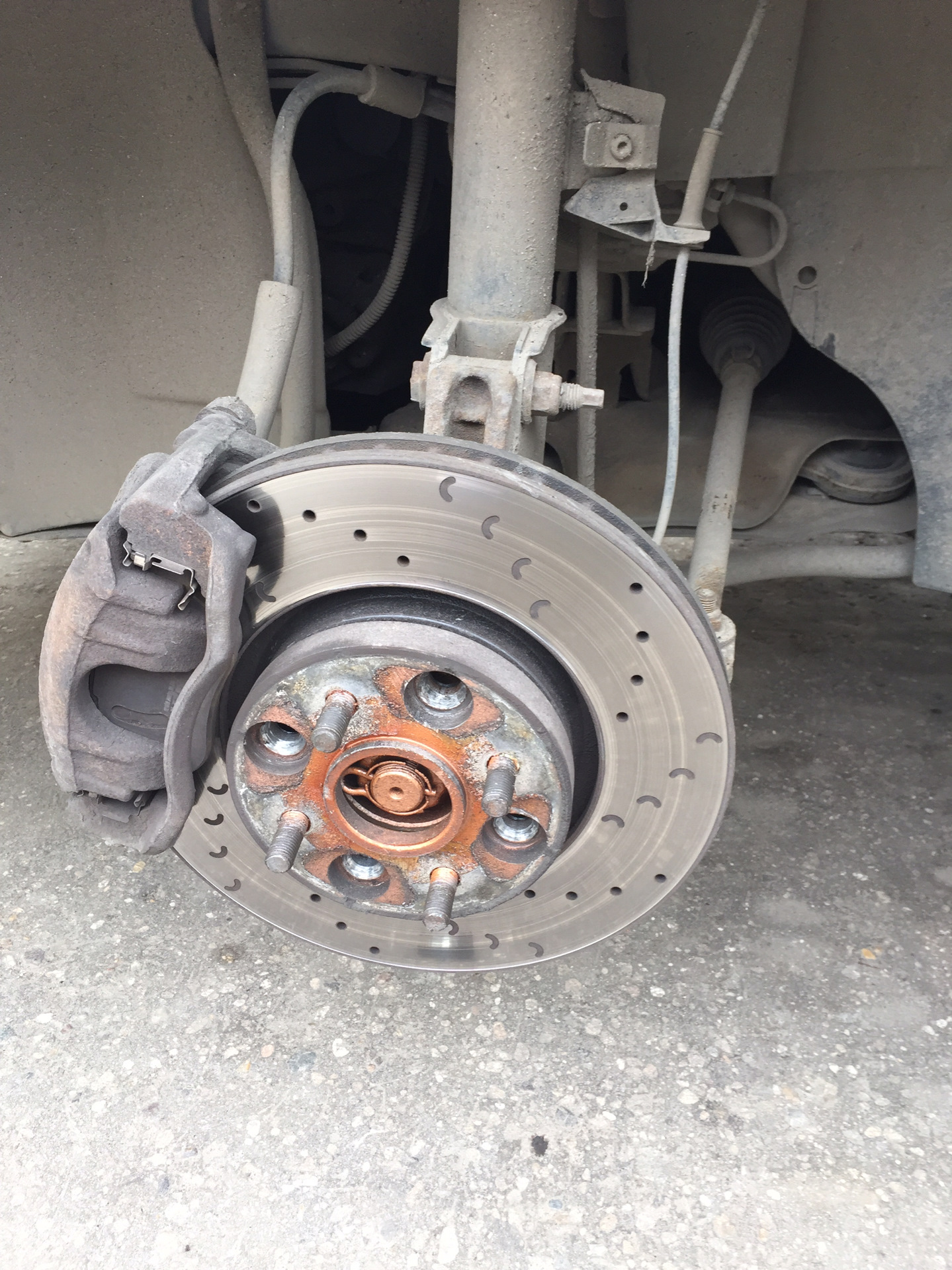 Ёлочка на тёрочкА 😹😹😹 — DRIVE2