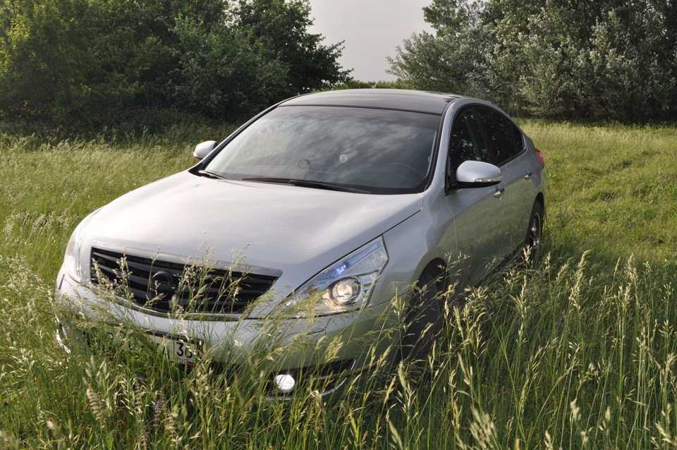 Крыша в черный винил + абразивная полировка — Nissan Teana (J32), 2,5 л ...