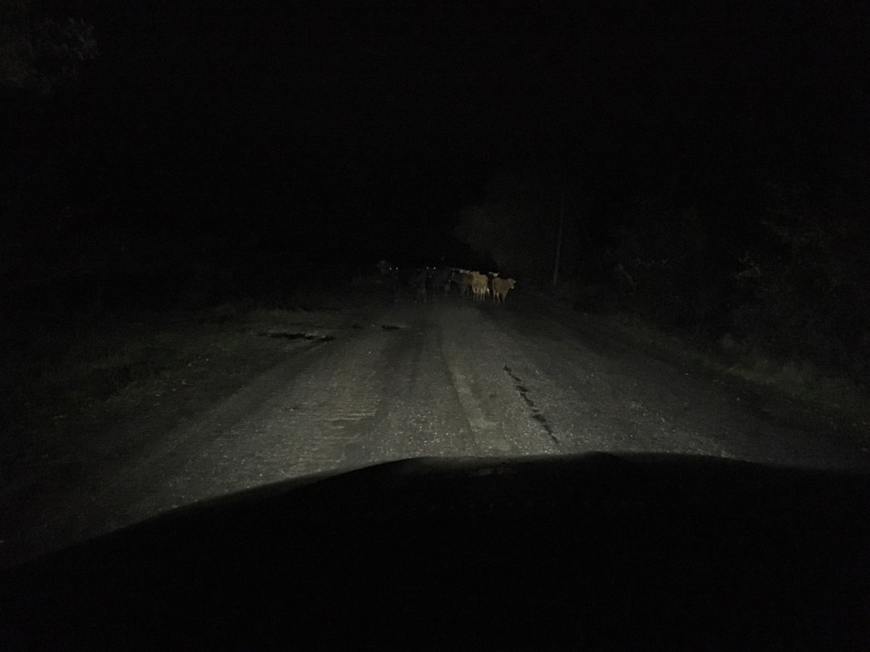 Ксенон VS галоген — BMW X5 (E53), 4,4 л, 2004 года | просто так | DRIVE2