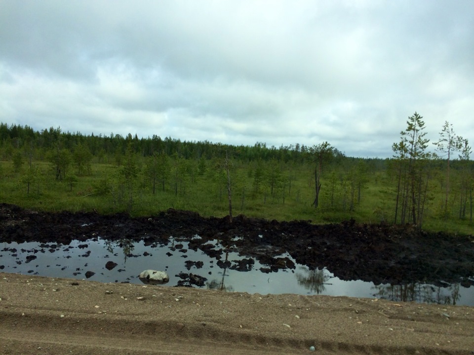 провал в болоте