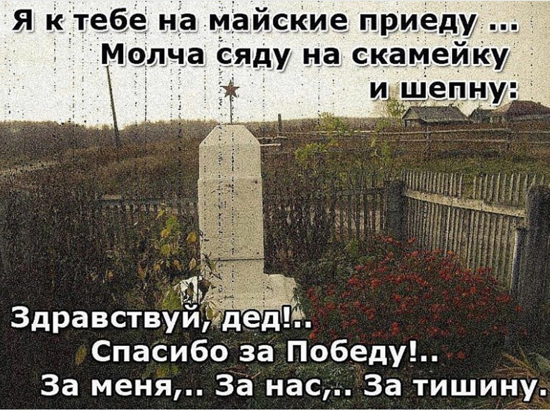 Я к тебе на майские приеду. Я к тебе на майские приеду стих. Я приеду в мае. Здравствуй дед спасибо за победу. Я к тебе на майские приеду стих.