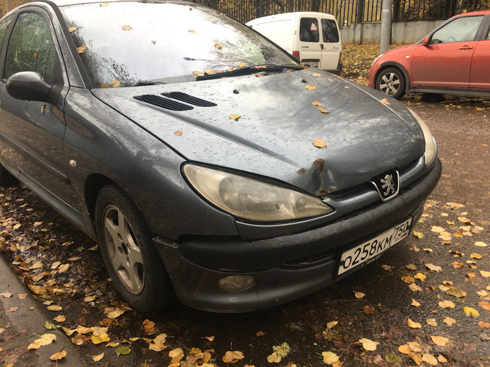 Заменил разбитую фару и Лёва приобразился. — Peugeot 206, 1,4 л., 2005 ...