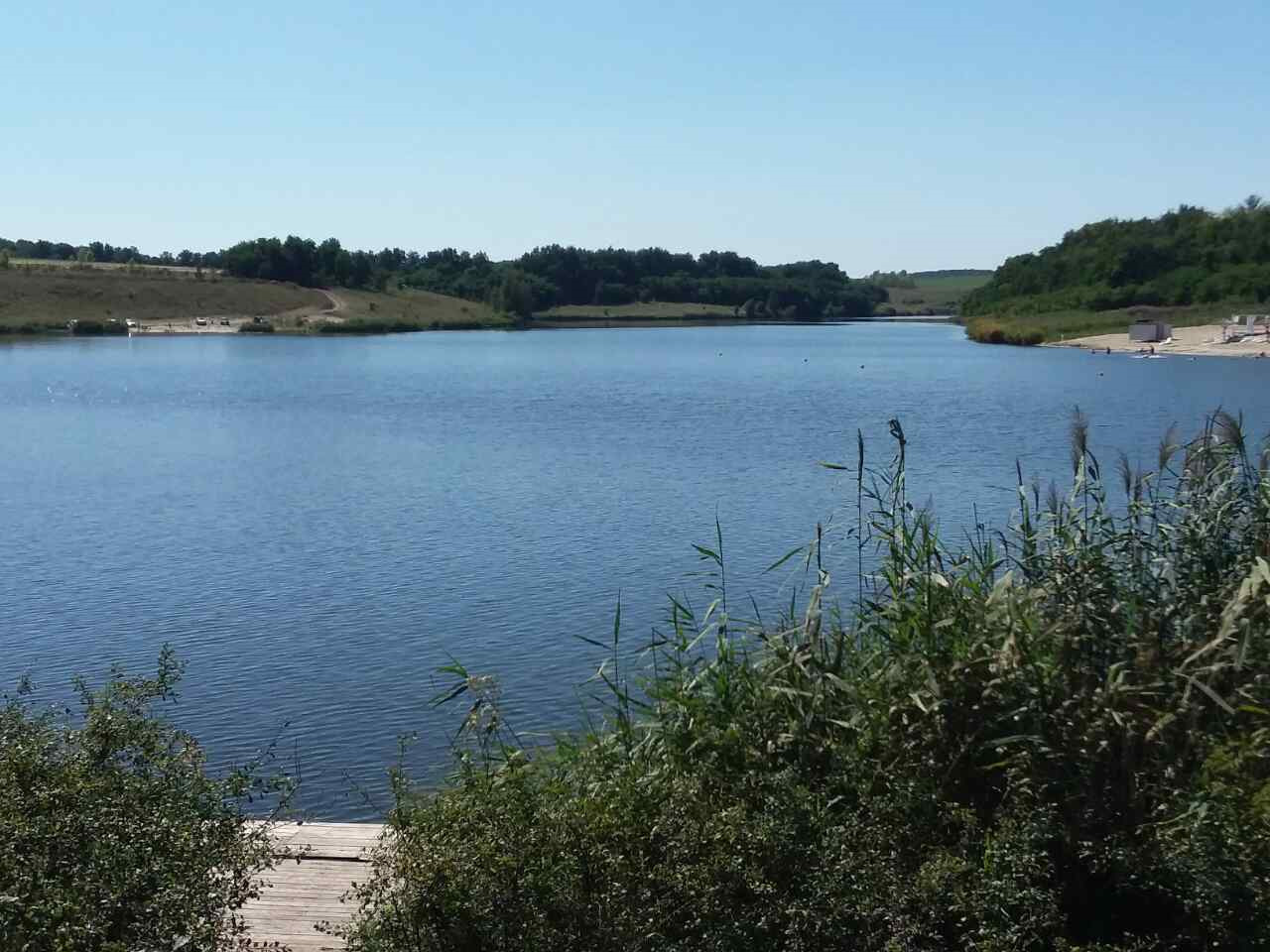 Под белгородом. Шагаровка Белгородская. Пруд Шагаровка. Пруд в Шагаровке Белгородской области.