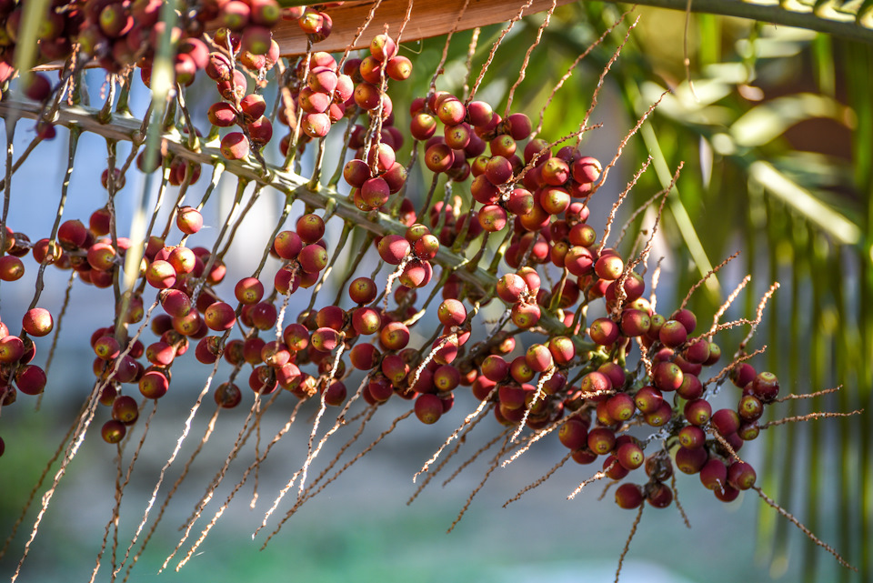 Фото в бортжурнале Ford Explorer (5G)