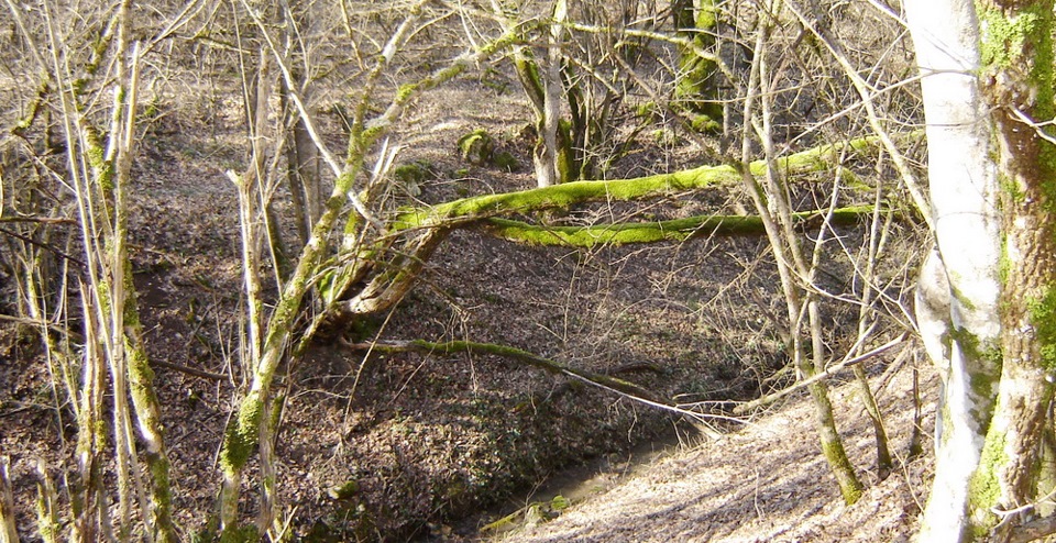 Фото в бортжурнале Volkswagen Polo Sedan