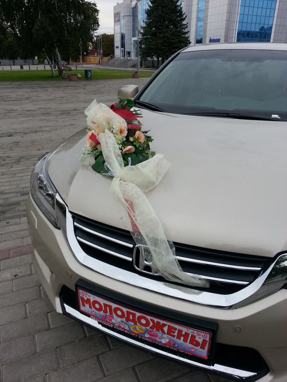 свадебная машина — Honda Accord (9G), 2,4 л, 2013 года | фотография ...