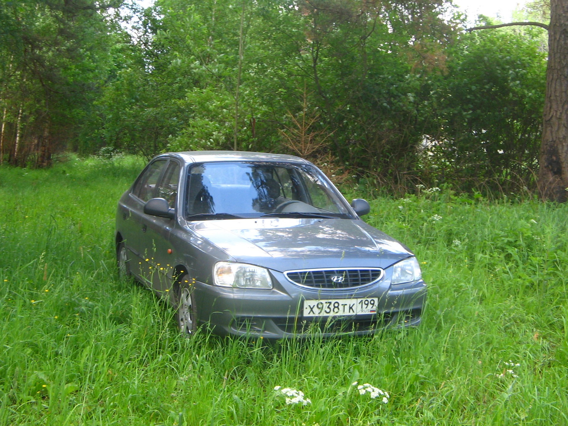 Поиск праздничных приключений — Hyundai Accent (2G), 1,5 л, 2005 года ...