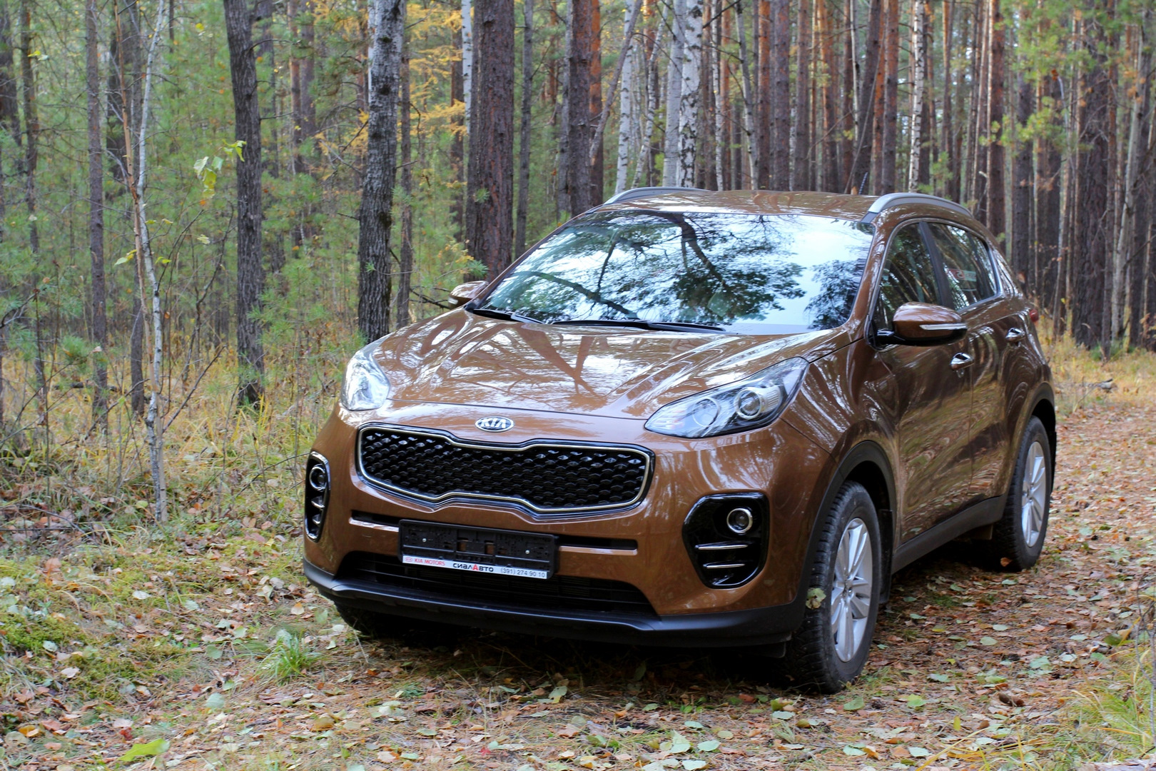 Плюсы и минусы KIA Sportage 2016г. — KIA Sportage (4G), 2 л, 2016 года |  наблюдение | DRIVE2