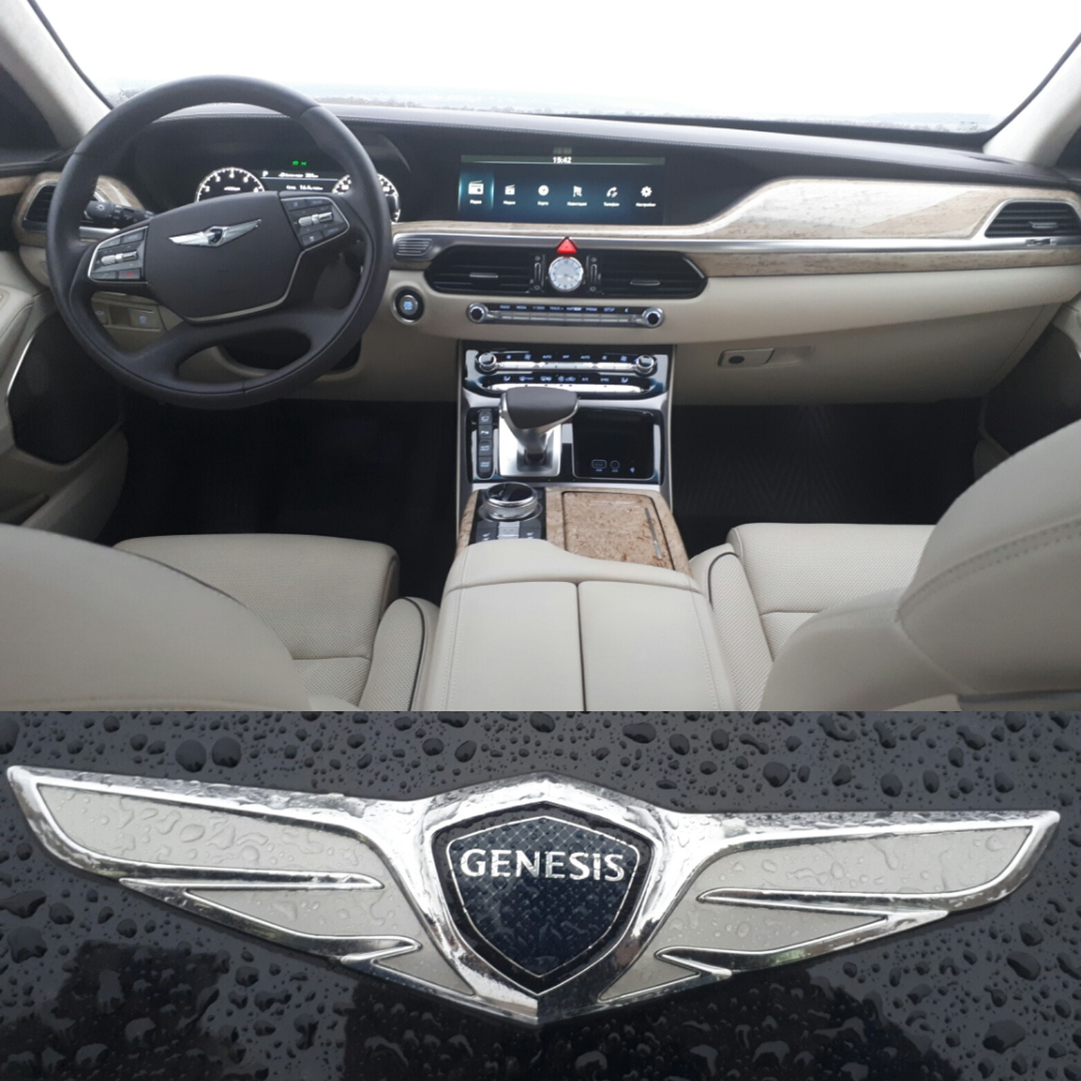 Genesis тест