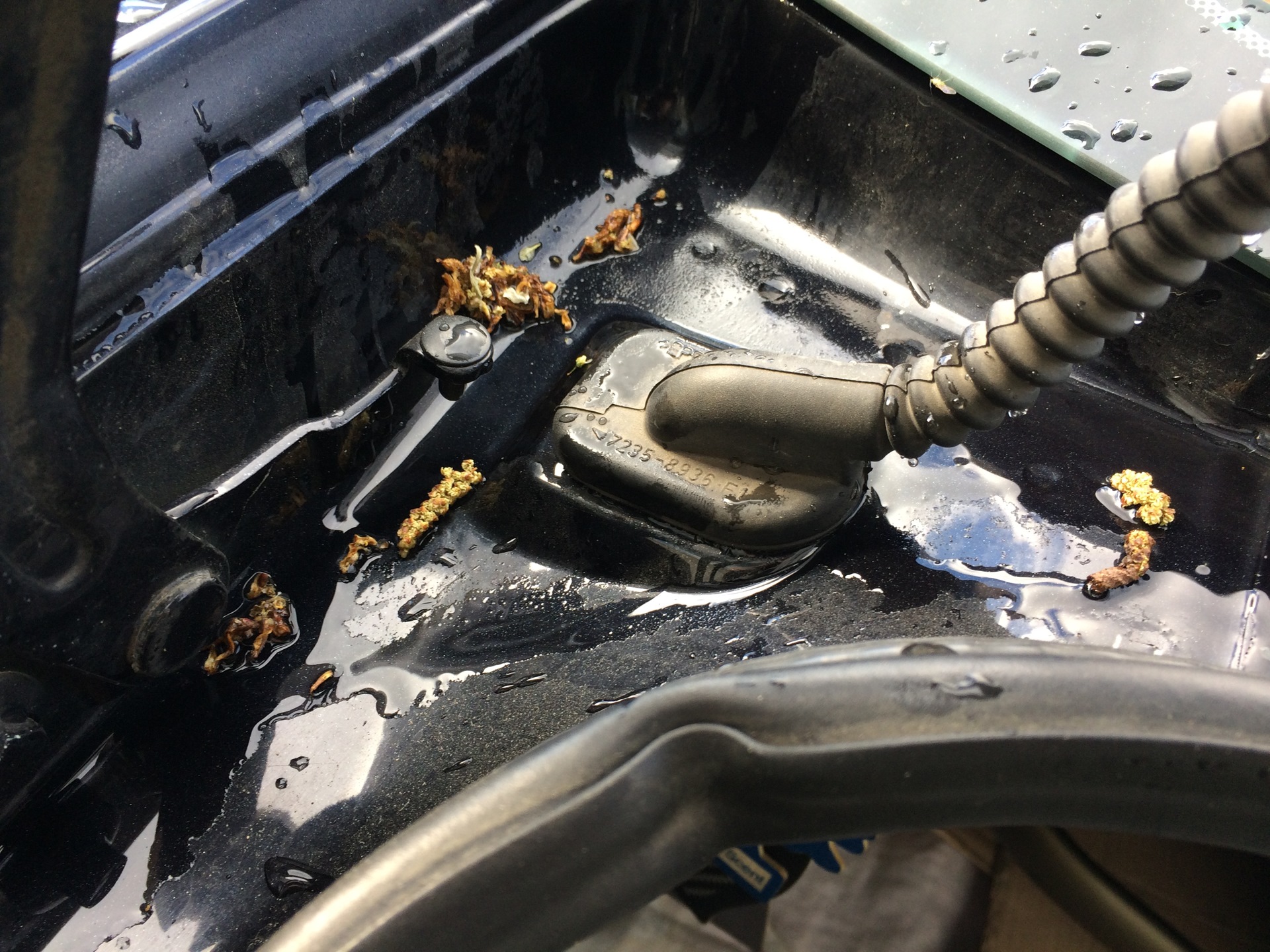 Сырость в багажнике и в салоне (Решено) — Ford Mondeo III, 2 л, 2006 ...