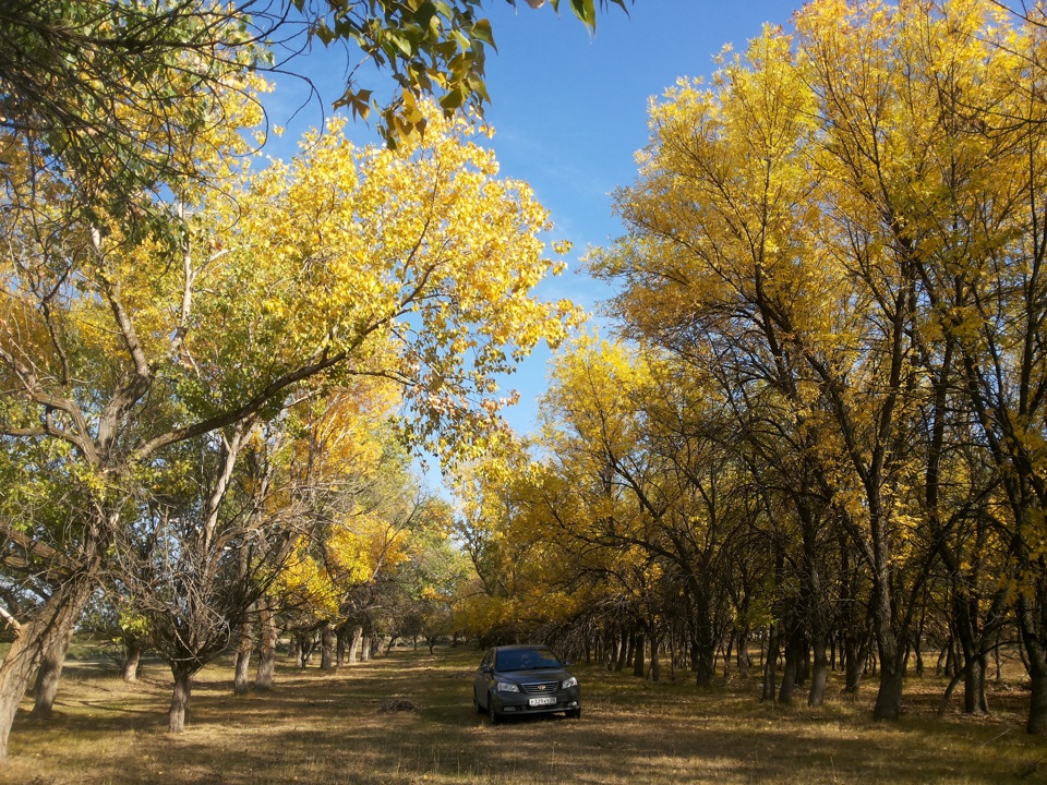 Фото в бортжурнале Geely Emgrand EC7 FE-1