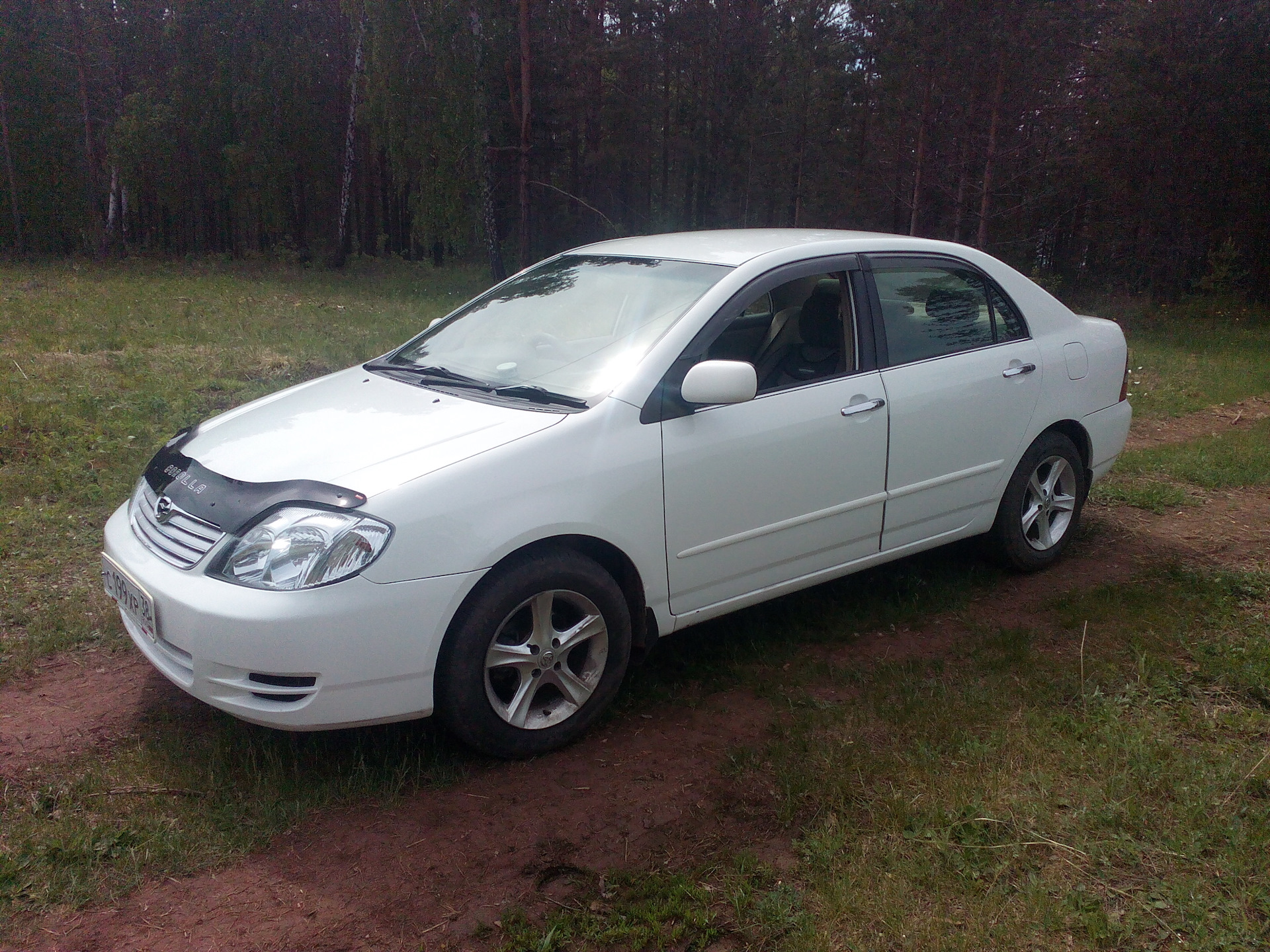 Toyota 2003. Тойота Королла 2003. Toyota Corolla 2003. Тойота Королла 2003 года. Тойота Corolla 2003.