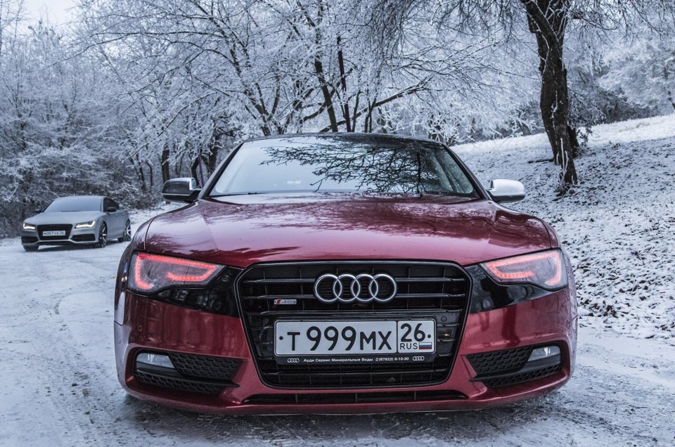 Audi номер. Ауди с номером т762мв. Ауди a8 с номером 6300. Ауди а4 102 регион. Ауди а6 с московскими номерами.