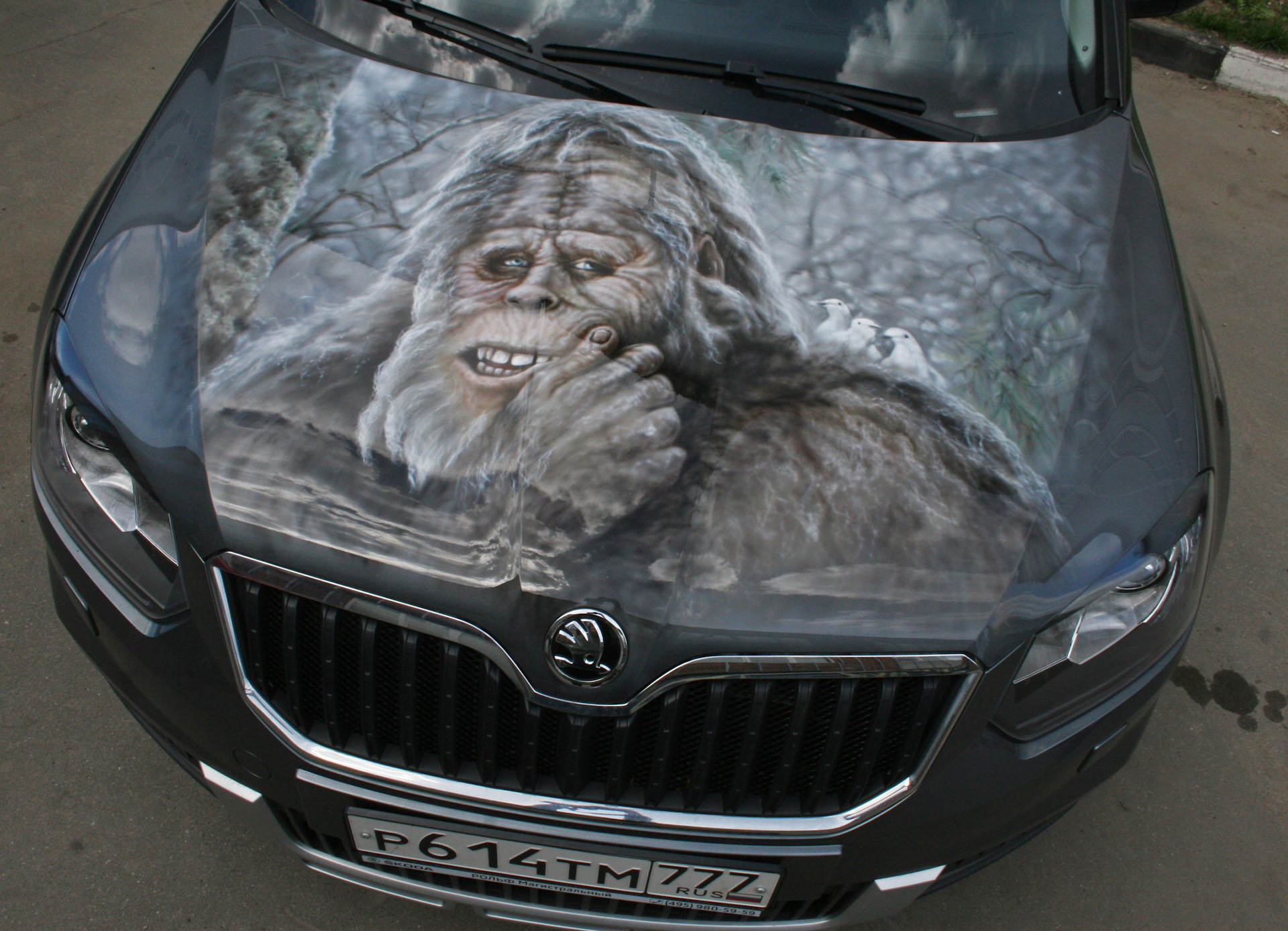 Yeti Skoda снежный человек