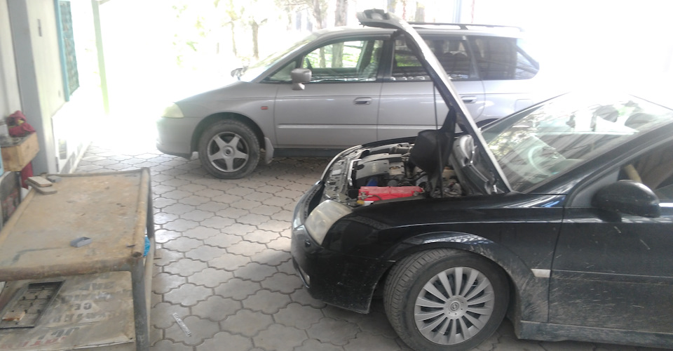 Фото в бортжурнале Opel Signum