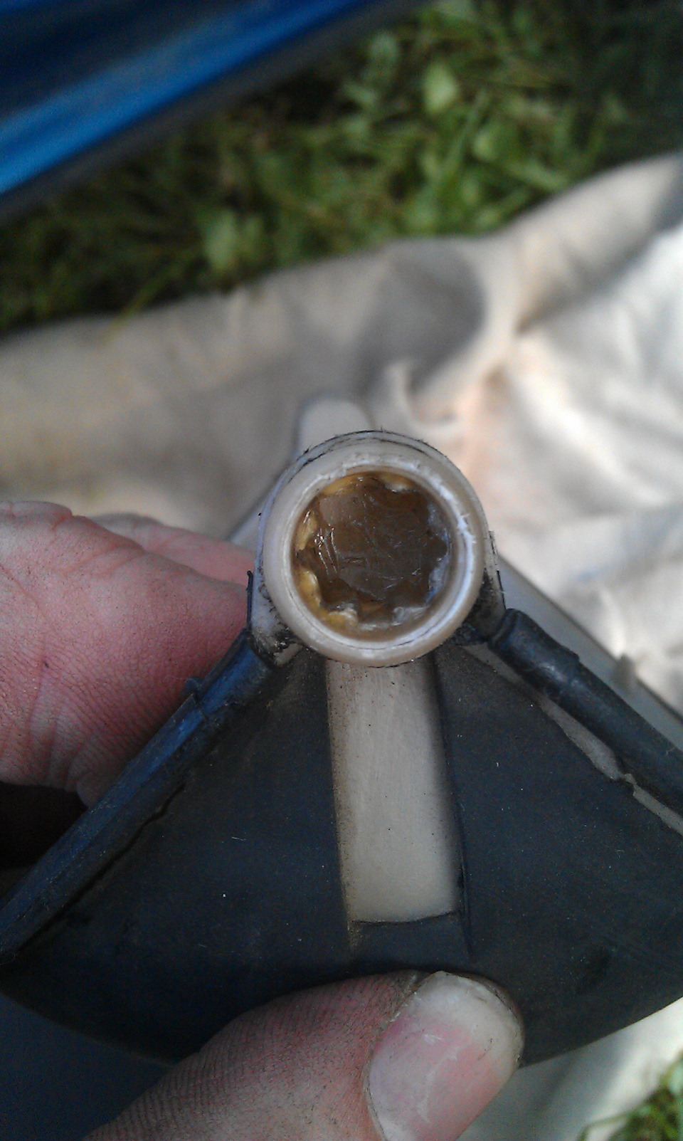 Фото в бортжурнале Ford Fusion