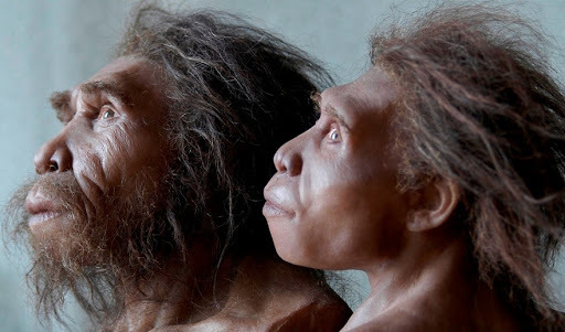 Секс древних людей с приматами и почему Солнце никогда не станет сверхновой