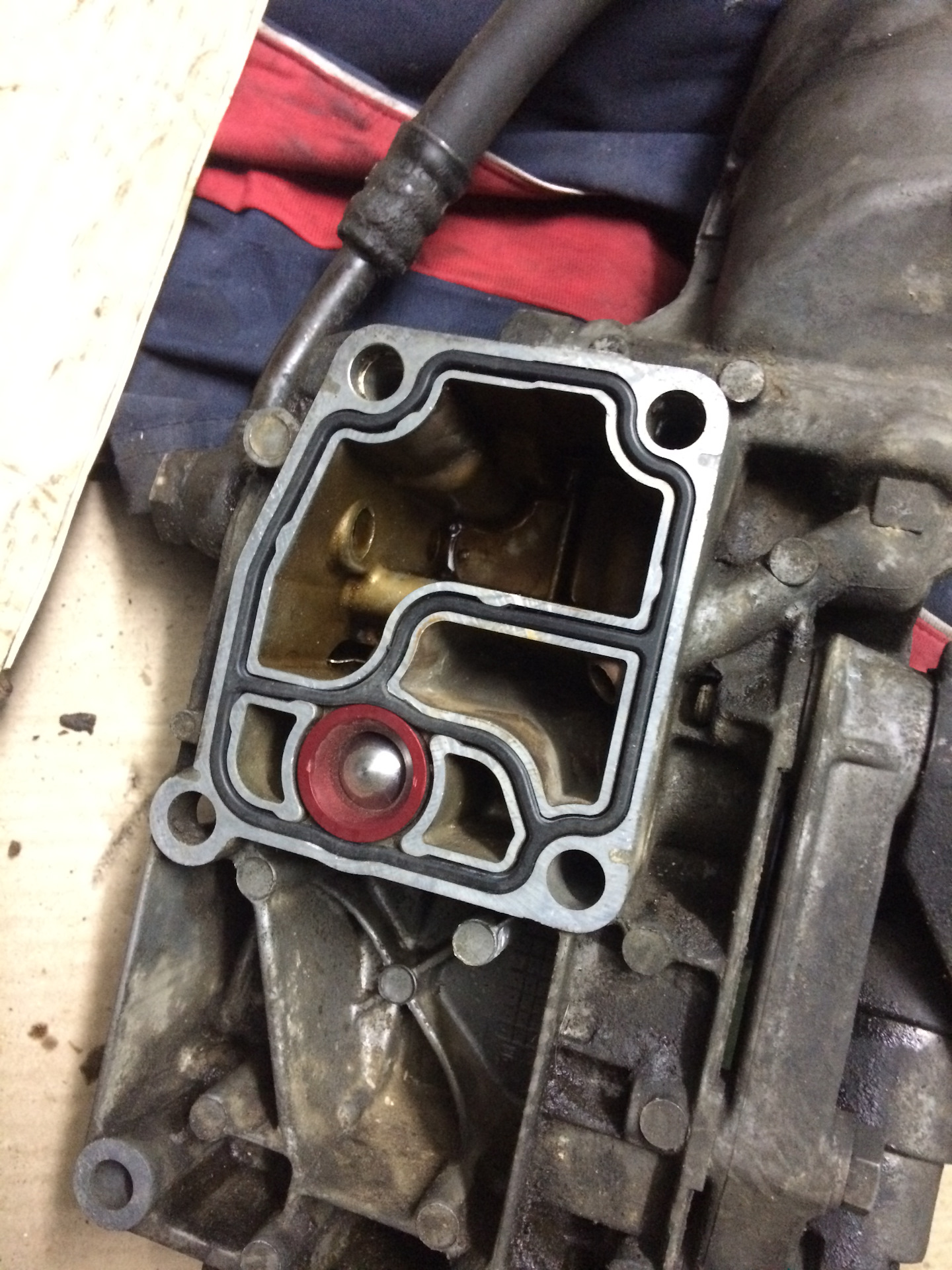 Стуки в моторе при заводе BMW M50/M5/M54 — BMW 3 series (E46), 2 л ...