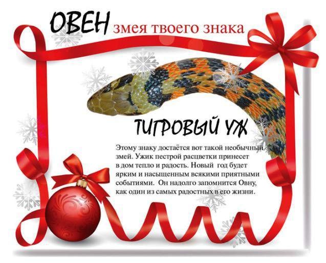 Змея по восточному календарю характеристика Друзья! С Новым 2013 Годом! - Great Wall Hover, 2 л, 2011 года просто так DRIVE2