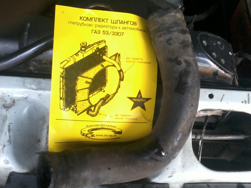 531303010 Шланг радиатора подводящий GAZ | Запчасти на DRIVE2