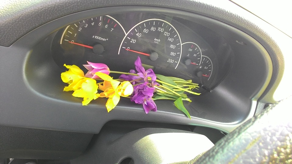 Съездили за тюльпанчиками! — Lada Приора седан, 1,6 л, 2010 года ...