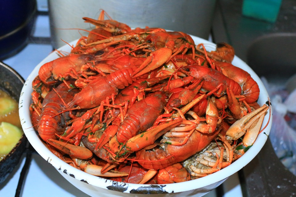 Прорвались))) — УАЗ 469, 2,3 л, 1992 года | покатушки | DRIVE2