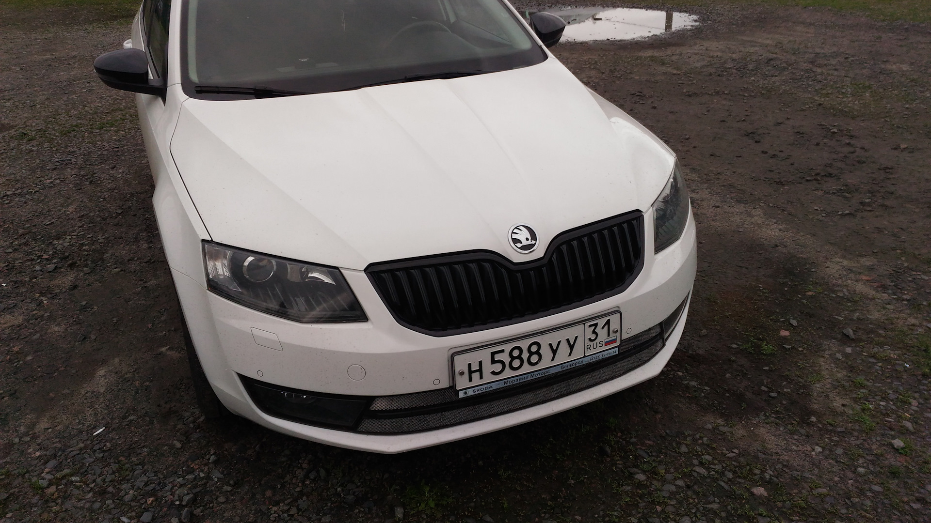 Skoda Octavia Combi A7 Mk3 1.8 бензиновый 2013 | Белая пуля на DRIVE2