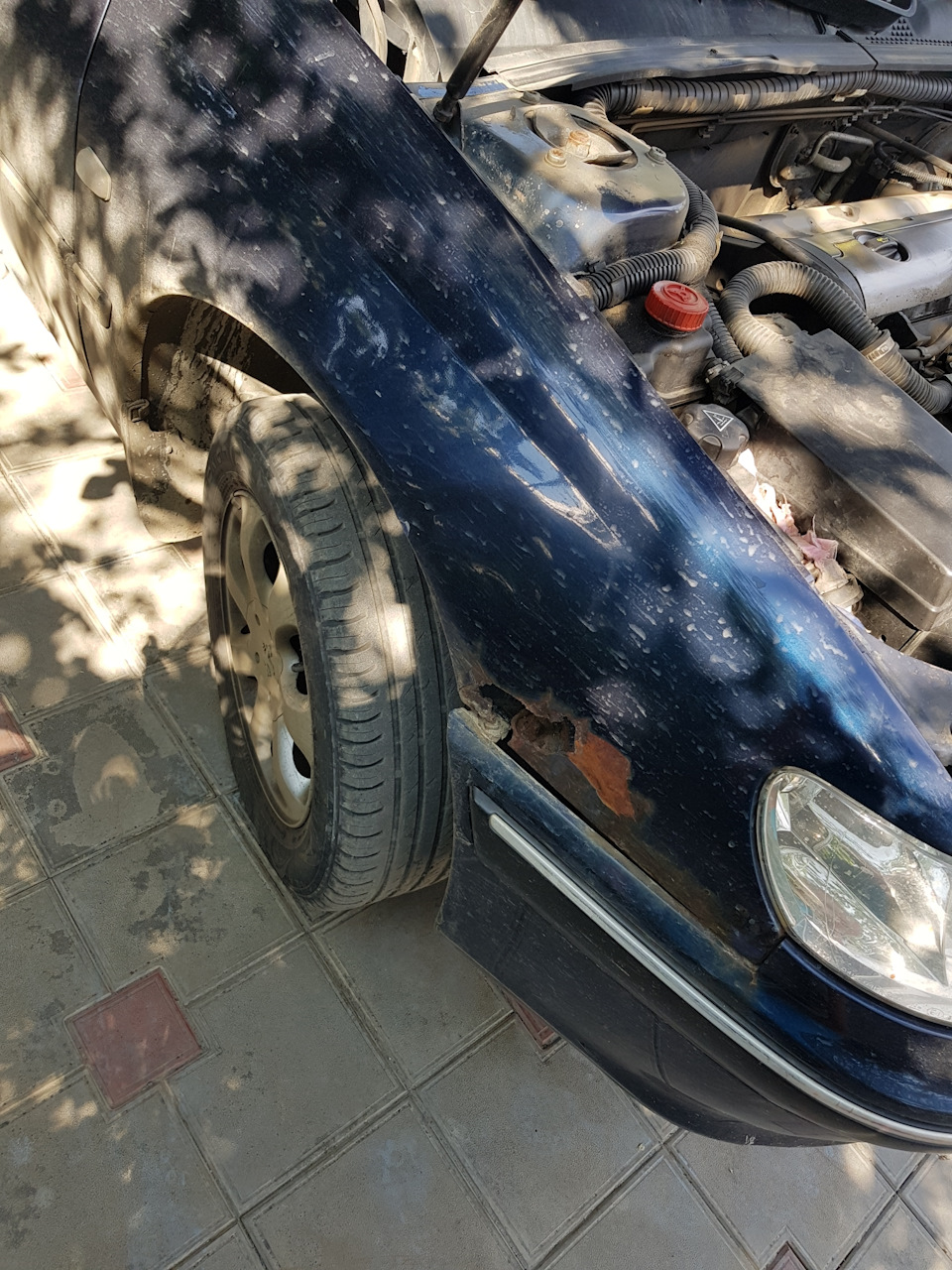 Новые крылья — Peugeot 406, 1,8 л, 2001 года | наблюдение | DRIVE2