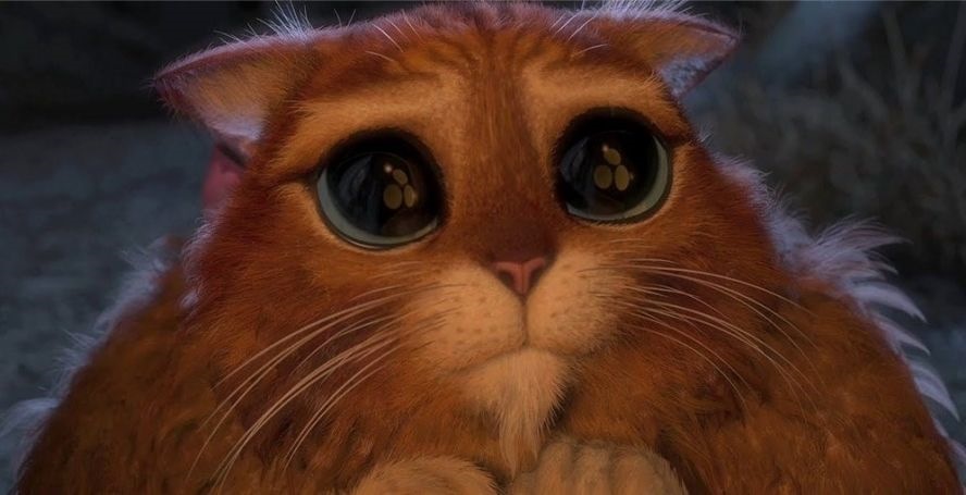 ПОЛОМКА . ПОРВАЛСЯ ШЛАНГ ТОРМОЗНОЙ ЖИДКОСТИ (( НА ПЕРЕКРЕСТКЕ (( — Audi ...