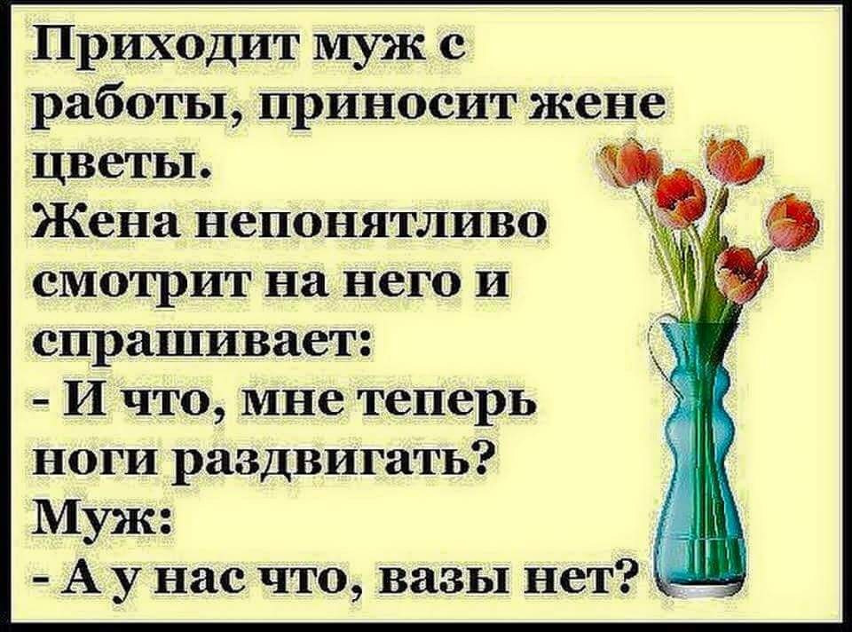 Муж придя с работы. Анекдоты про цветы. Цветы приколы цитаты смешные. Смешные шутки о цветах. Прикольное высказывание про цветы.