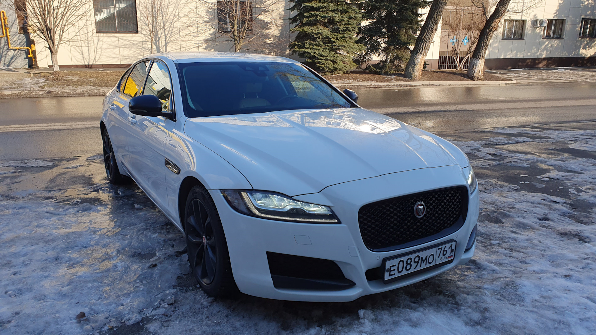 Jaguar XF (2G) 2.0 бензиновый 2016 | 2.0T Santi Grey Satin на DRIVE2