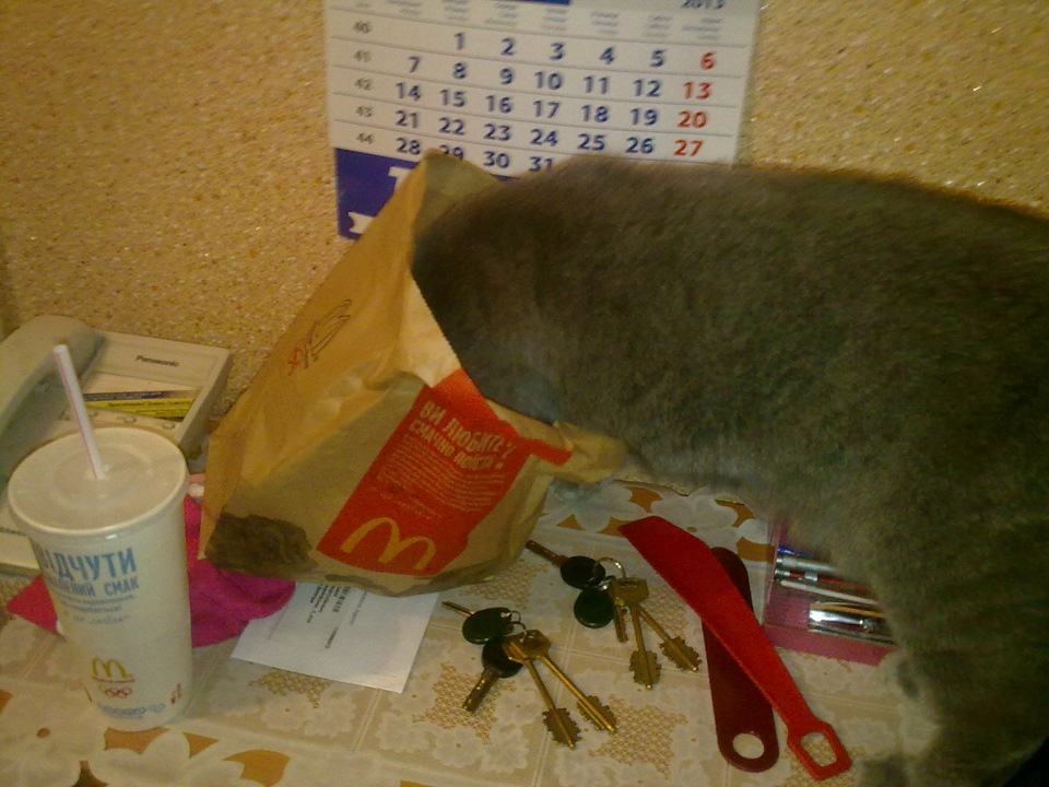 Замена уплотнительных резинок на форсунках — Daewoo Lanos, 1,5 л, 2005 ...