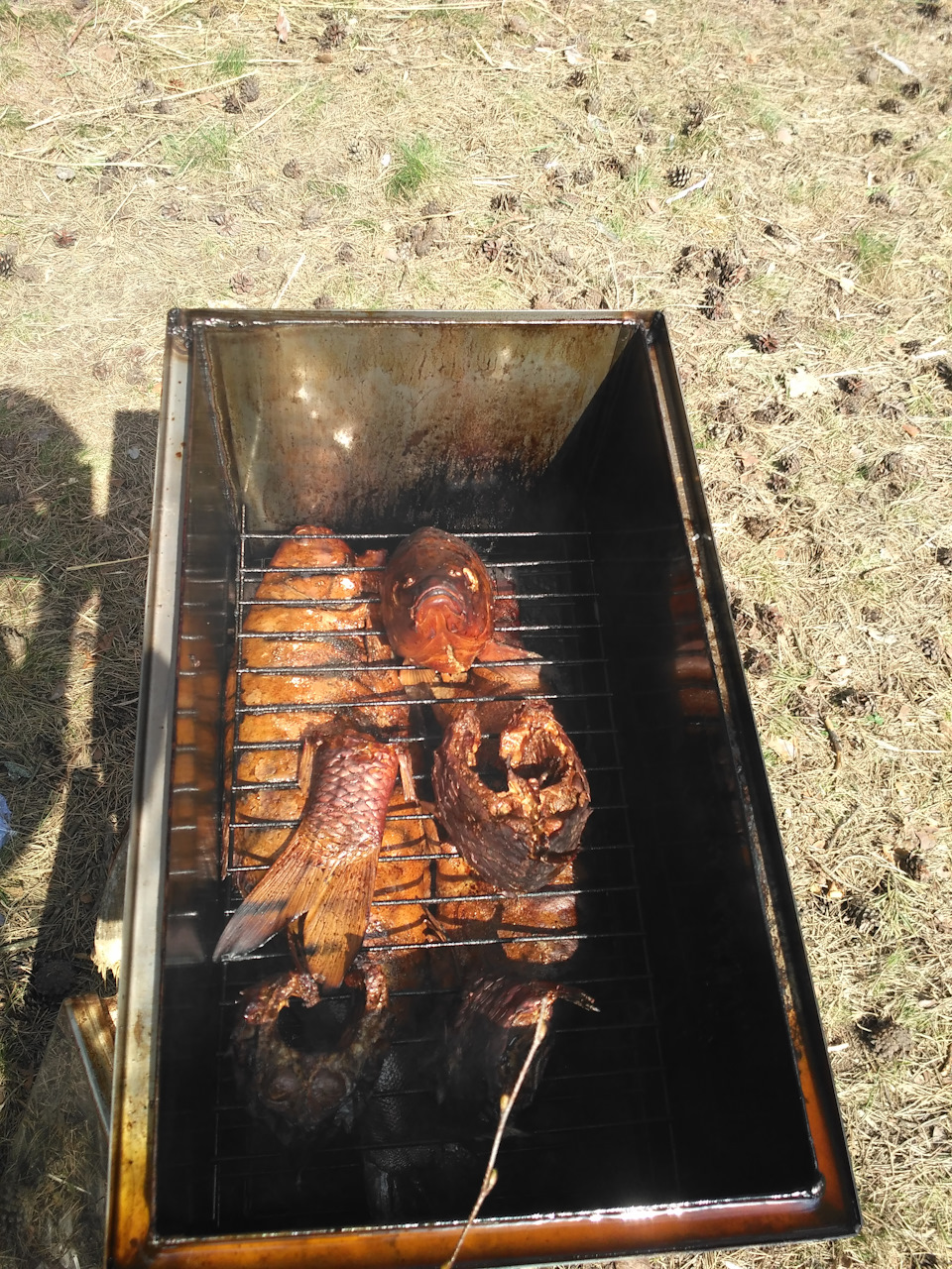 Фото в бортжурнале УАЗ Patriot