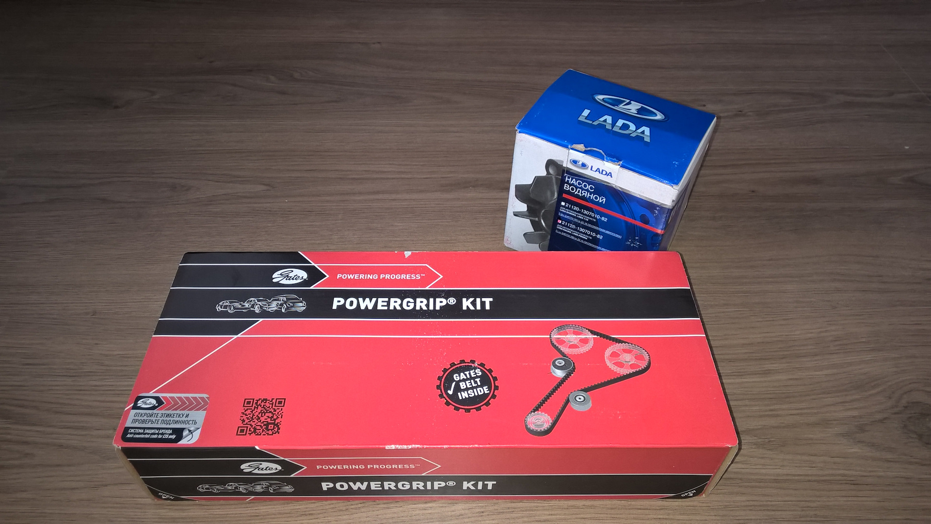 Калина спорт грм