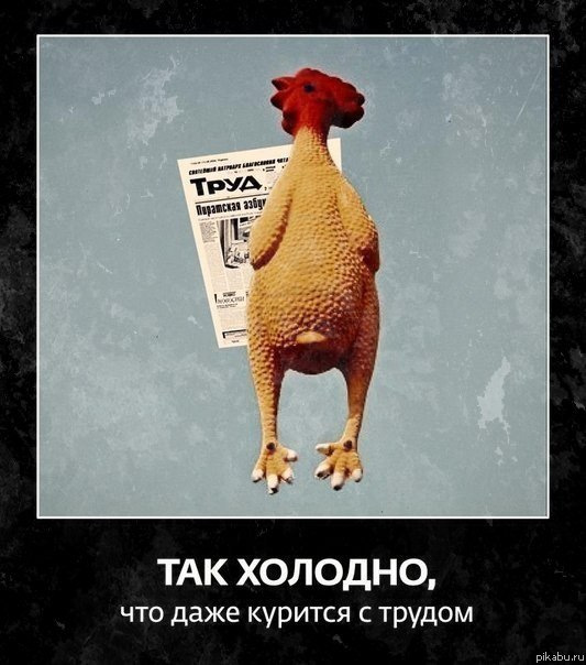 Че это у вас так холодно в мае картинки