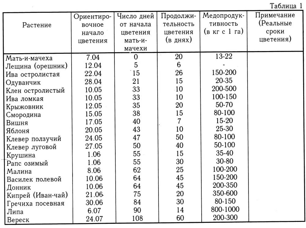 При какой температуре выделяет. График цветения медоносов в средней полосе России. Сроки цветения медоносных растений. Медоносные растения для пчел таблица цветения. Медоносы для пчел таблица.