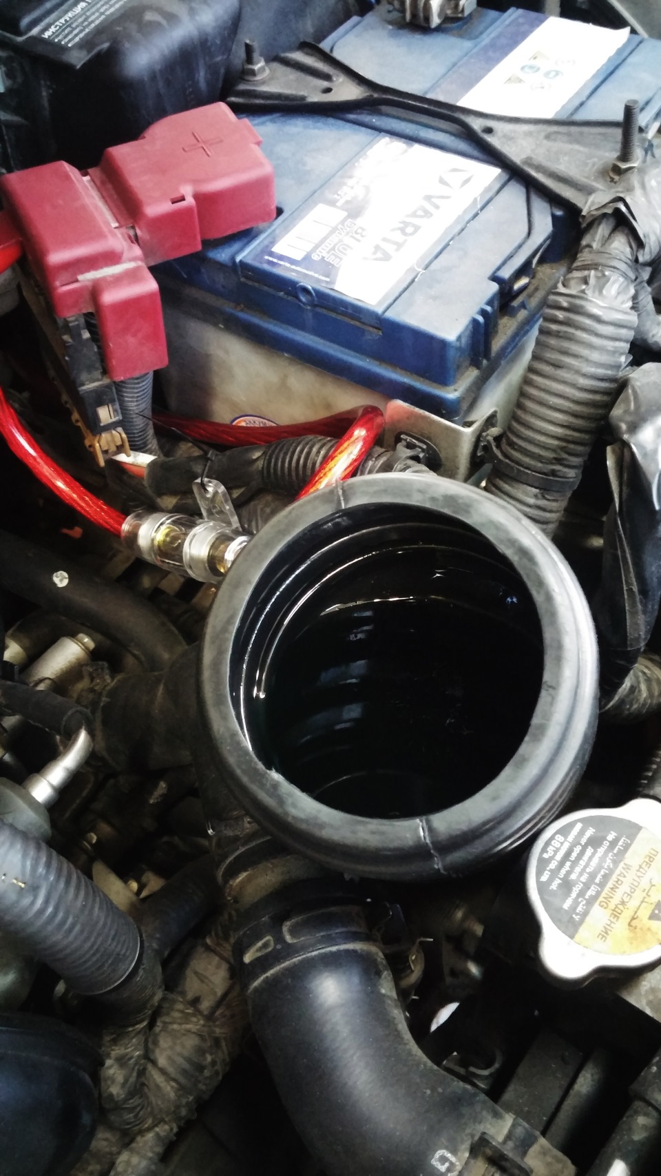 Фото в бортжурнале Nissan Juke (1G)