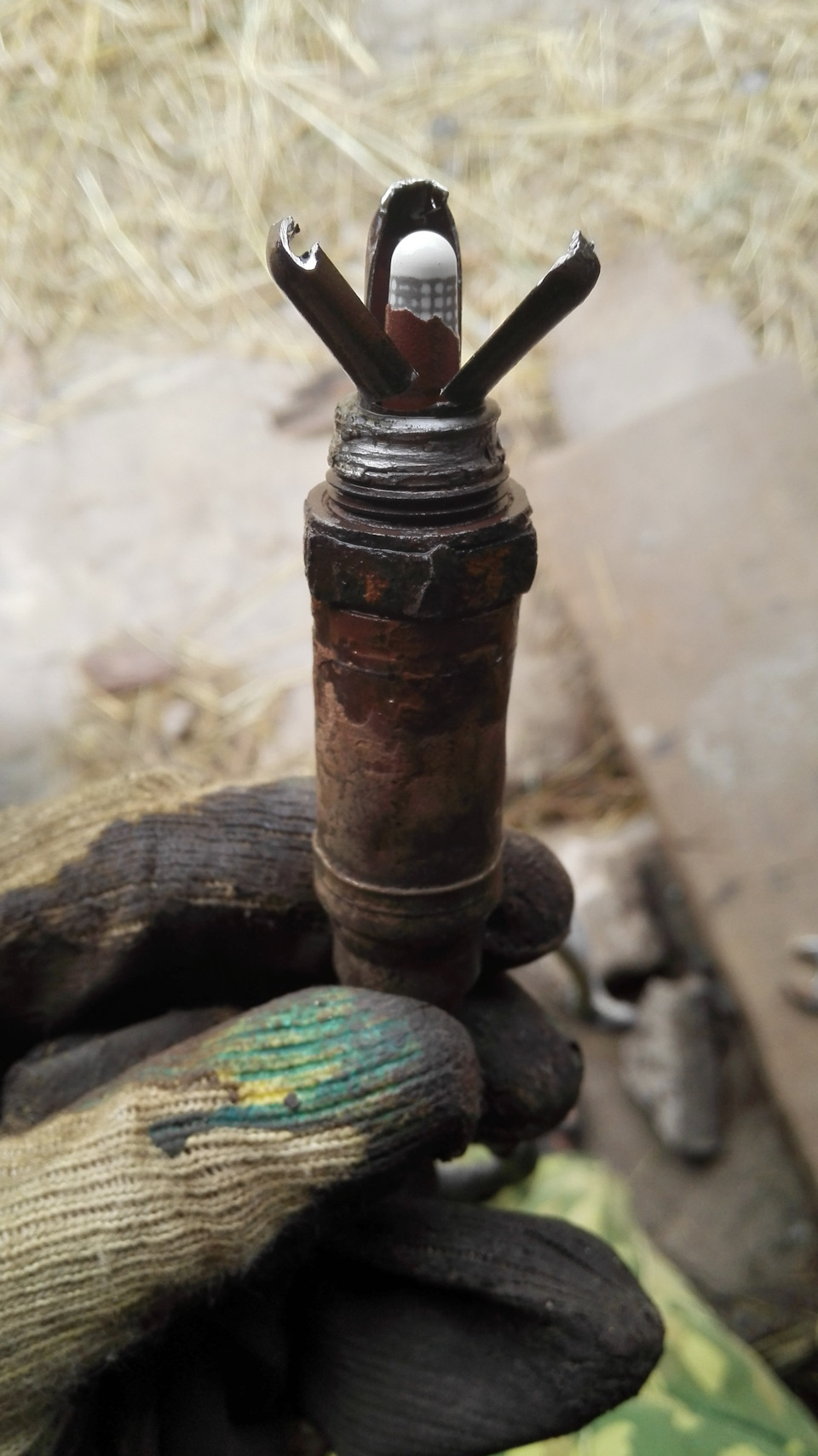 Чистка лямбда-зонда — Peugeot 406, 2 л, 2000 года | своими руками | DRIVE2