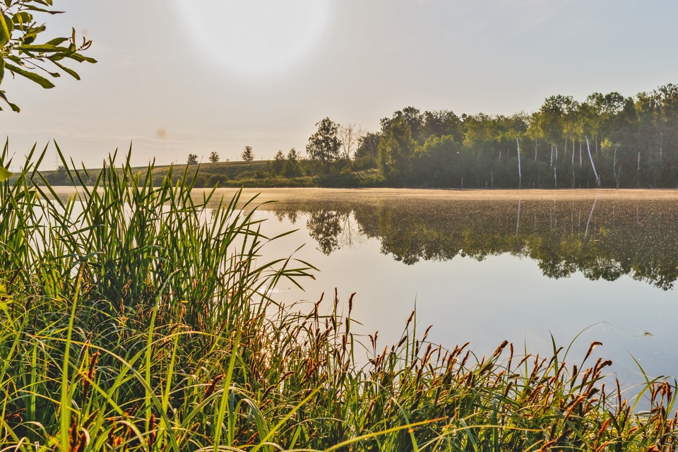 Пулковское водохранилище фото