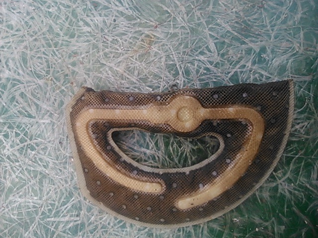 Сетка в бензонасосе — Ford Focus II Hatchback, 2 л, 2010 года | своими ...