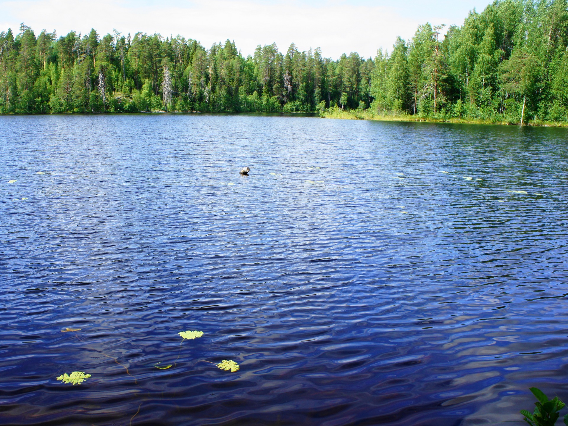 река онега каргополь