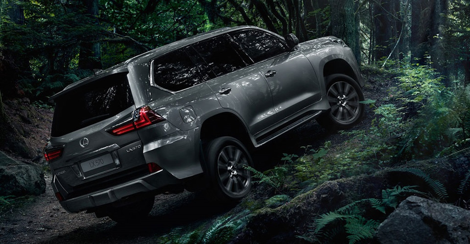 Ваш LEXUS к дальней дороге готов! — Лексус Ясенево на DRIVE2