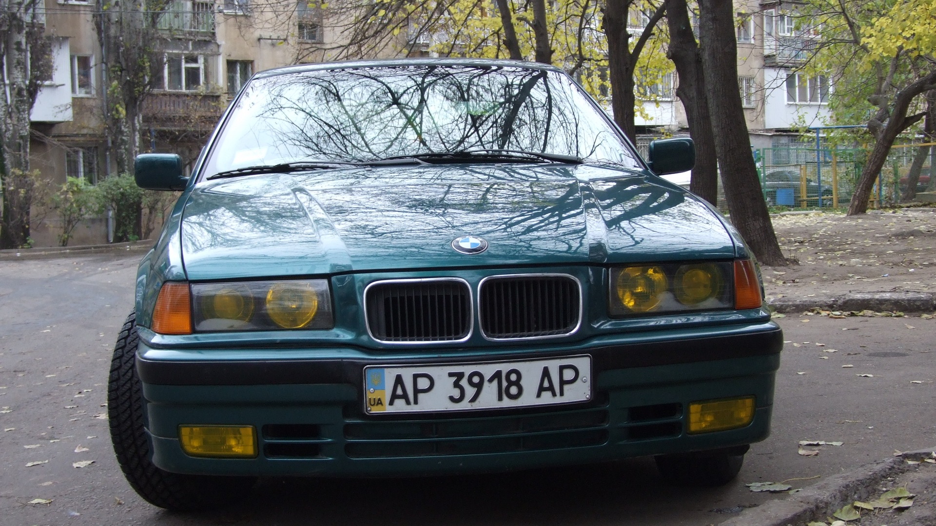 BMW 3 series (E36) 1.8 бензиновый 1994 | Крыса на DRIVE2