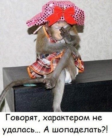 Что ты сидишь и ждешь