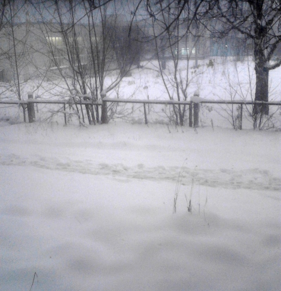 зима подкралась незаметно. — DRIVE2