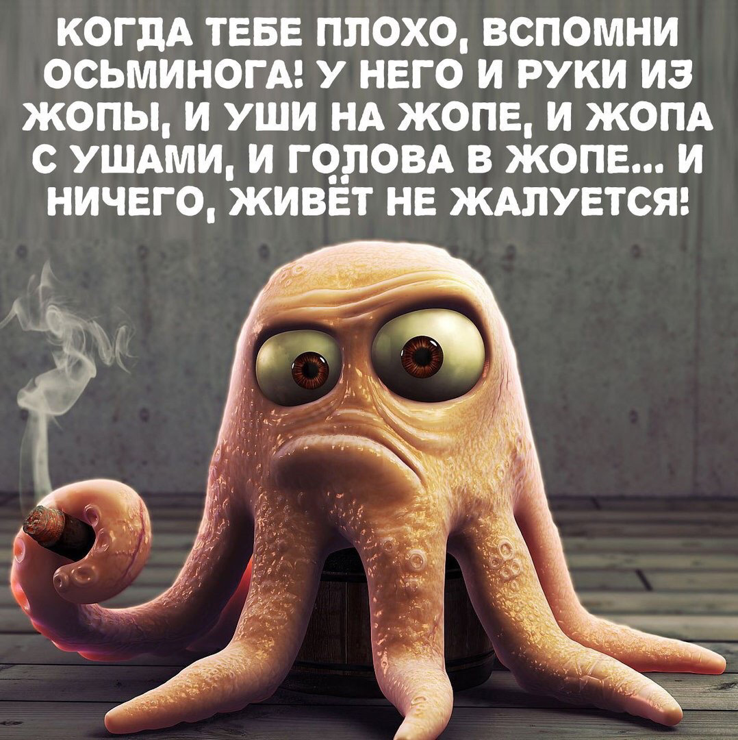 Днем, веселые картинки когда все плохо