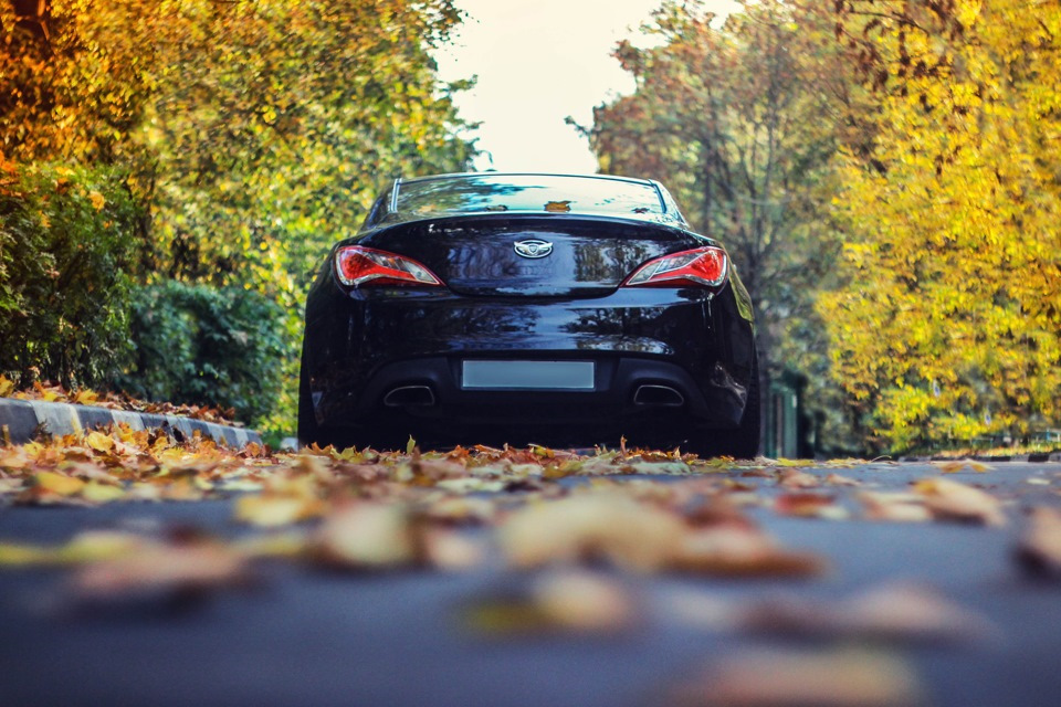 Genesis coupe — Hyundai Genesis Coupe