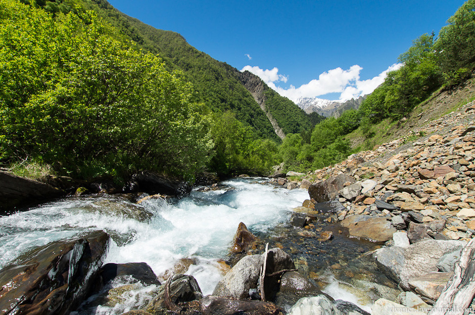 У реки грузия