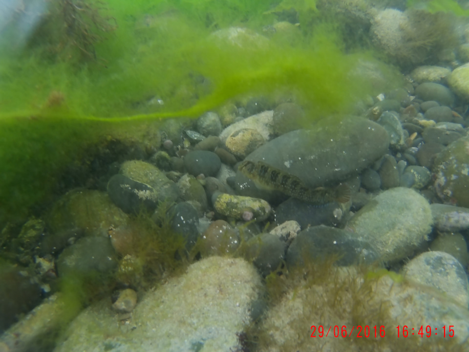 Фото в бортжурнале SsangYong Kyron